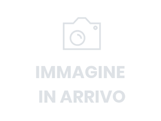 Logoaudiblu (2)